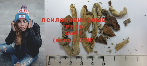 a pvp Корсаков