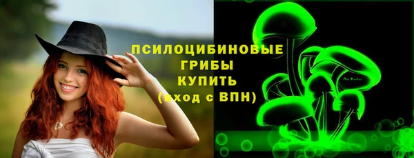 СК Коряжма