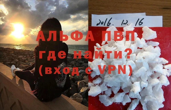 СК Кодинск