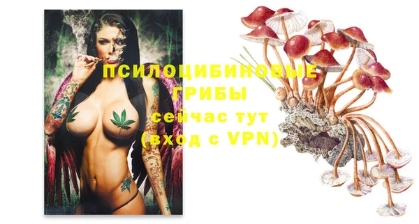 соль ск Козловка