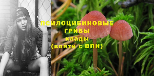 СК Кодинск